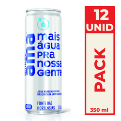 Água Mineral Com Gás Ama Lata Sleek 350ml Pack C/12